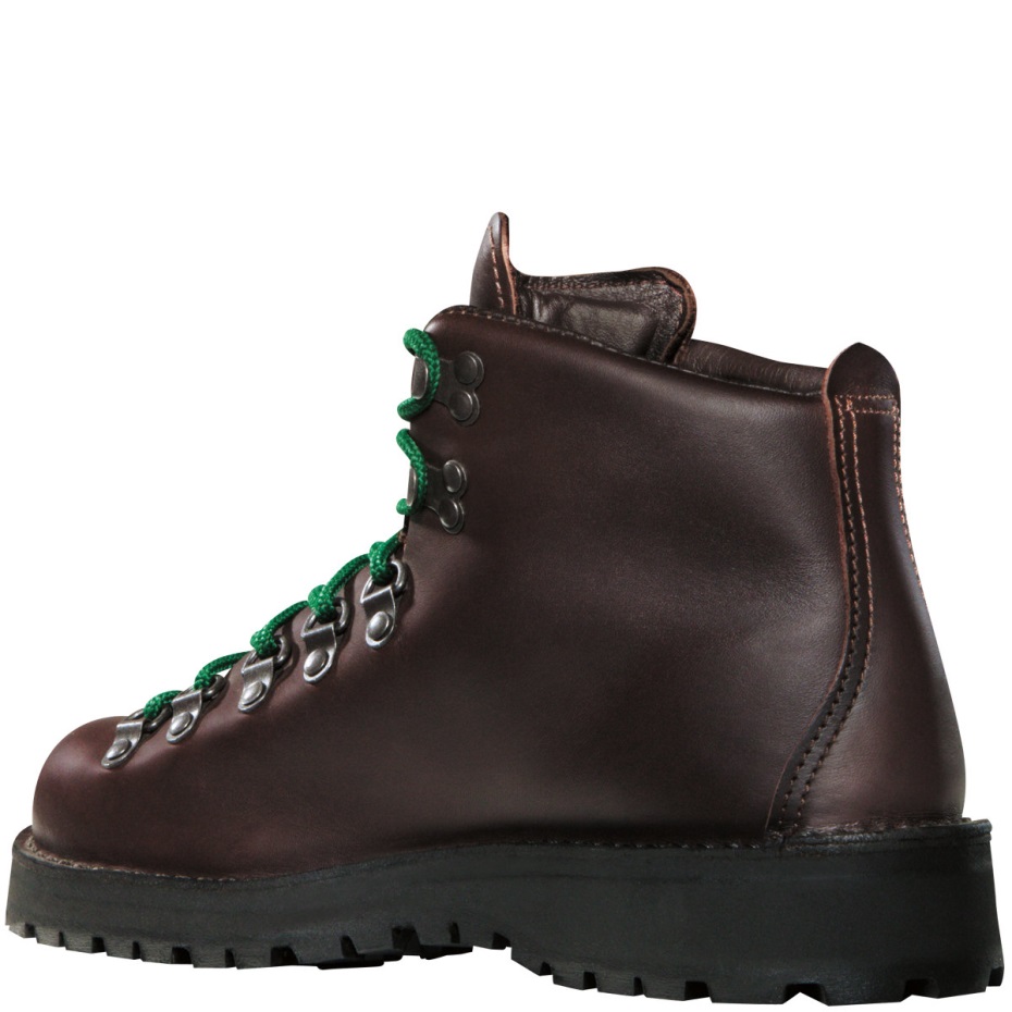 Danner Kadın Dağ ışığı Ii Brown-gore-tex