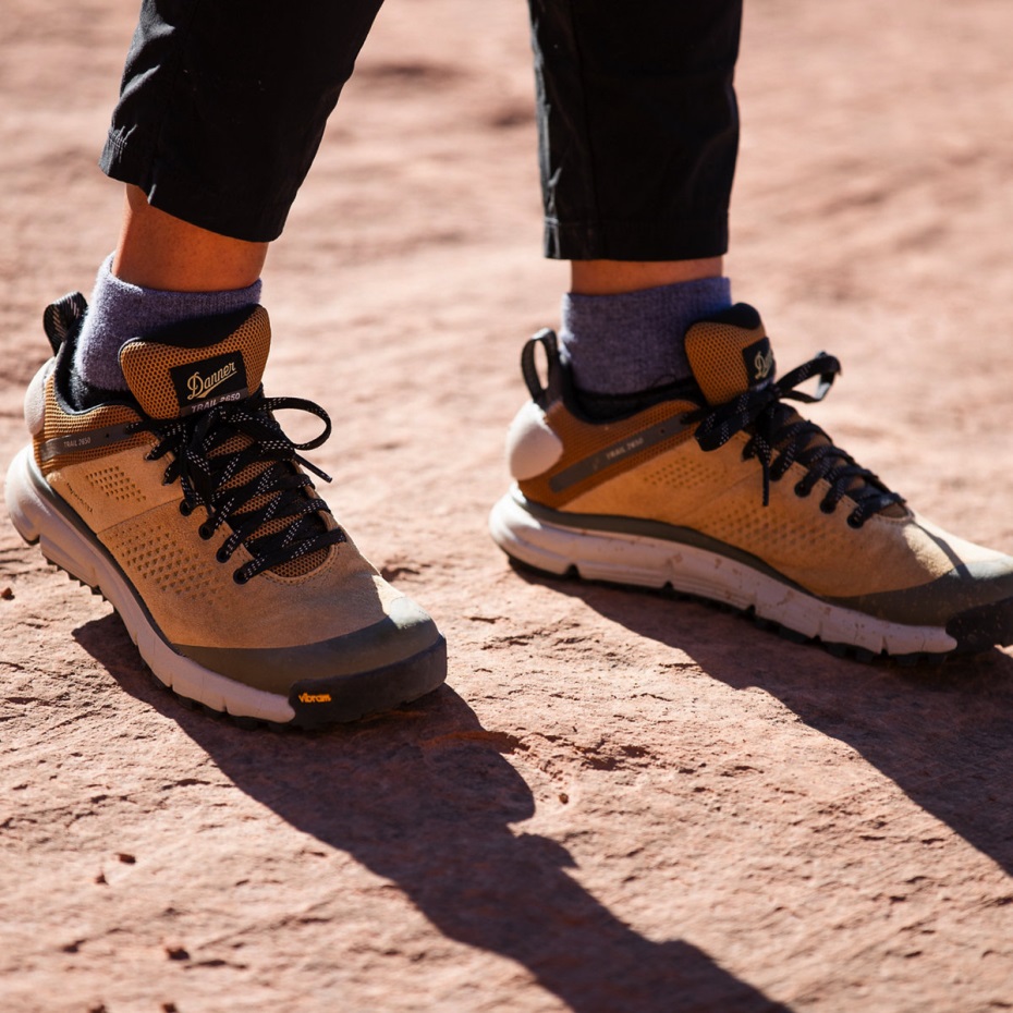 Danner Kadın Trail 2650 Gtx Kır Kumu/gri