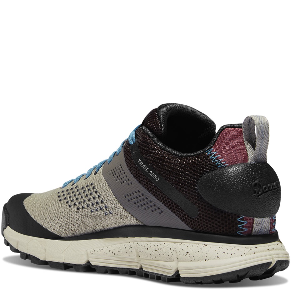 Danner Kadın Trail 2650 Mesh Gümüş Adaçayı/fırtına Mavisi