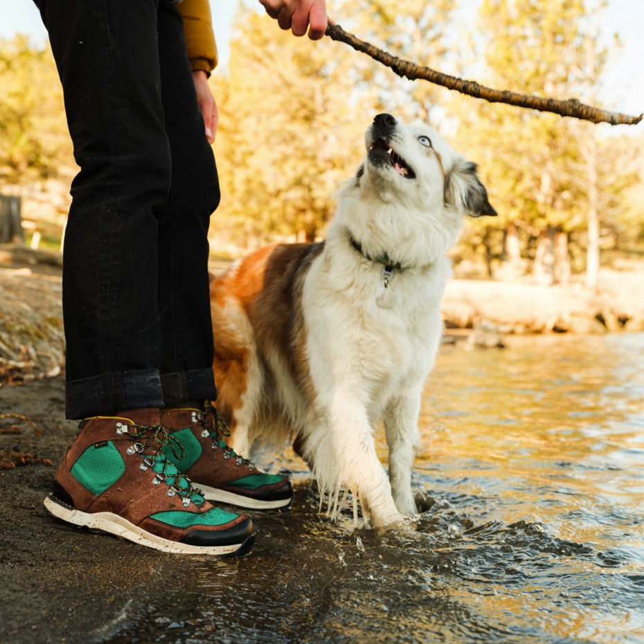 özgür Ruh Karanlık Dünya Danner