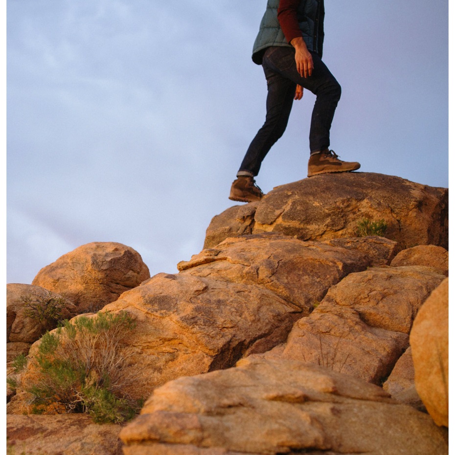 Skyridge Karanlık Dünya Danner