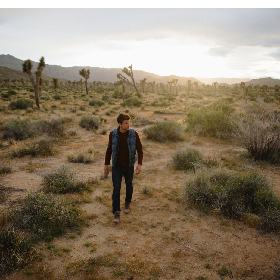 Skyridge Karanlık Dünya Danner