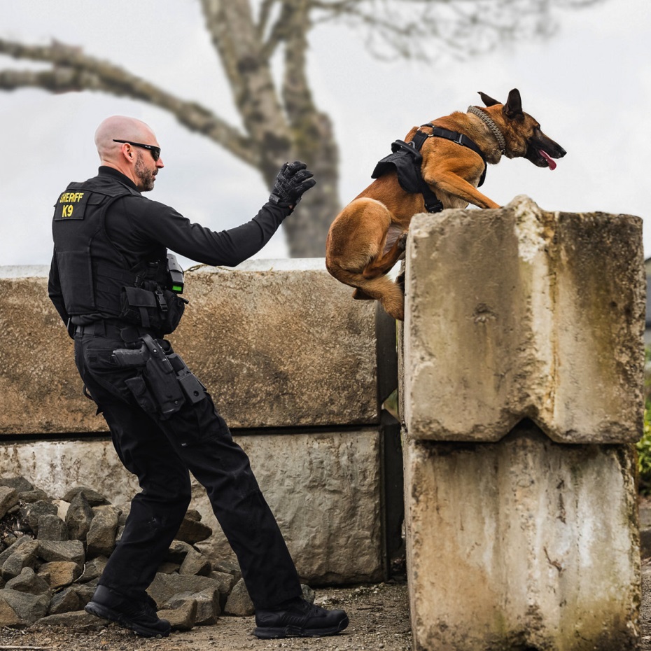 Forvet Cıvatası 4.5 Siyah Danner