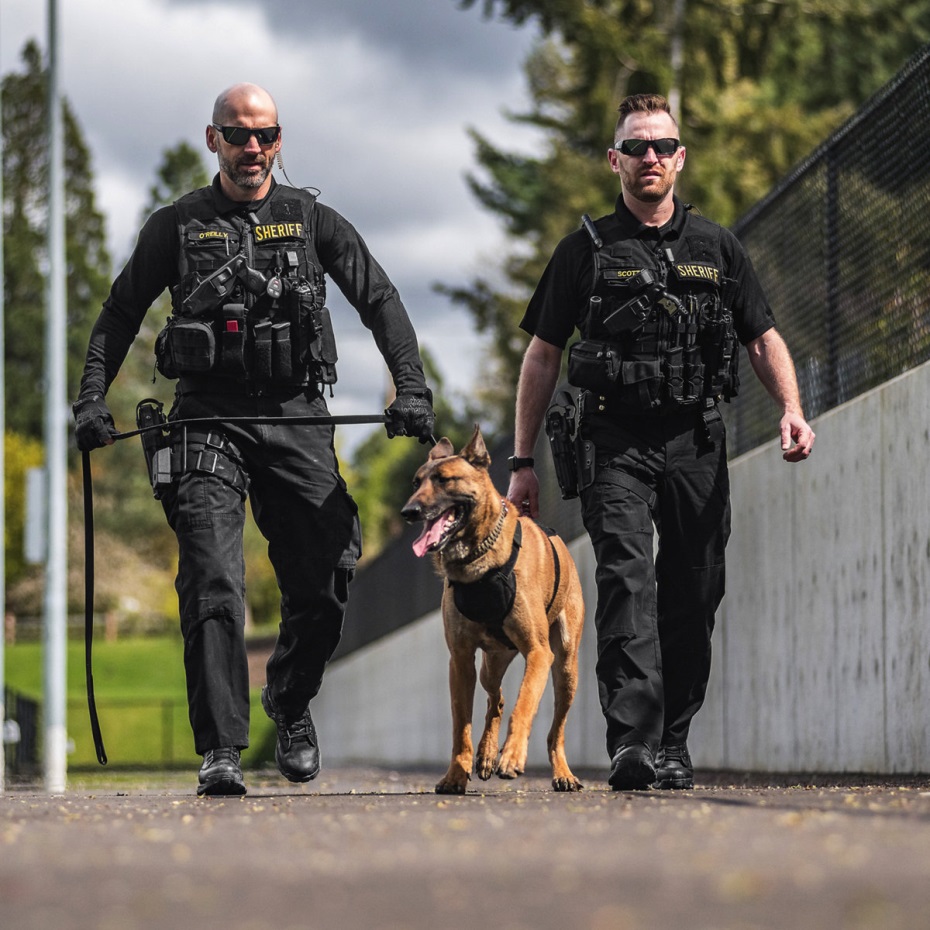 Forvet Cıvatası 4.5 Siyah Danner