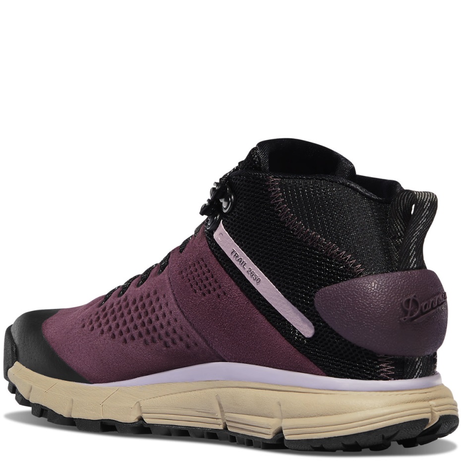 Kadın Trail 2650 Gtx Mid Marionberry Danner
