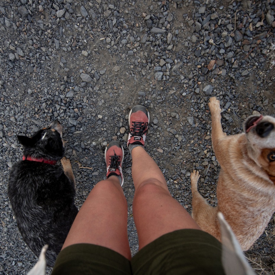 Kadın Trail 2650 Acı Sos Danner