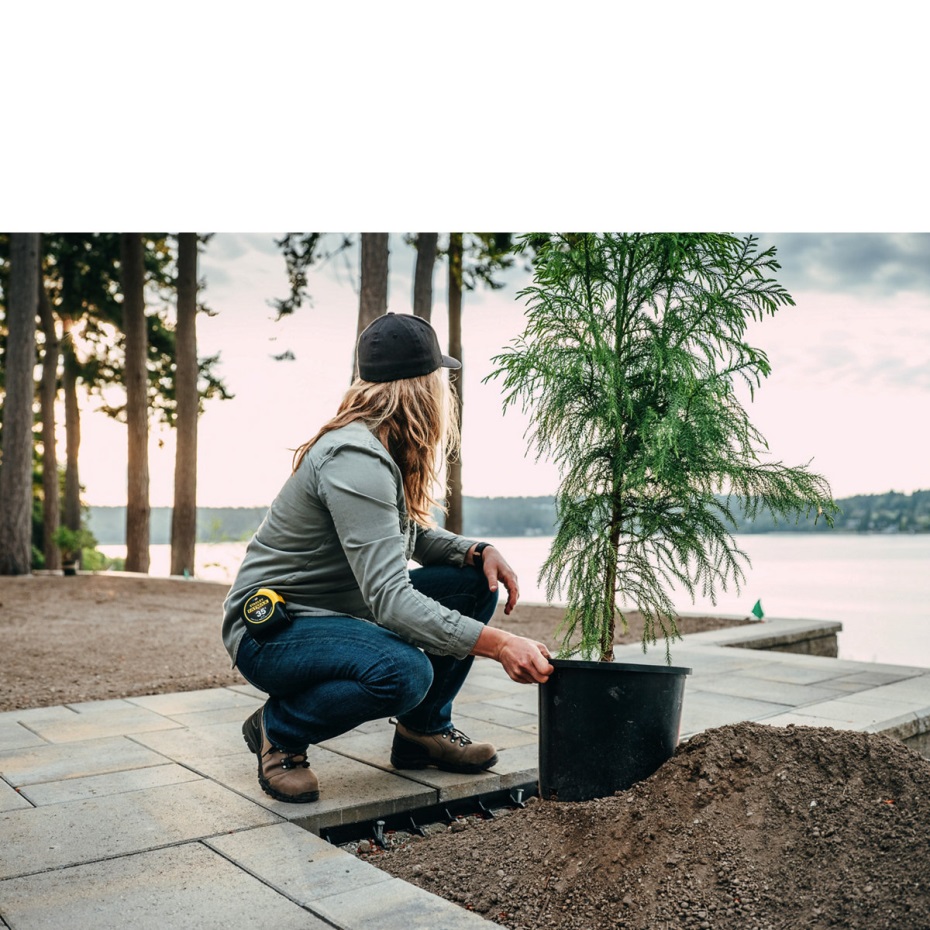 Kadınların Kısır Kahverengi Kompozit Parmak Danner